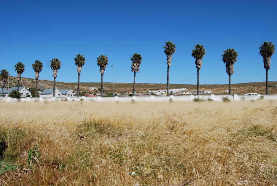 0 Bedroom Property for Sale in Saldanha Western Cape